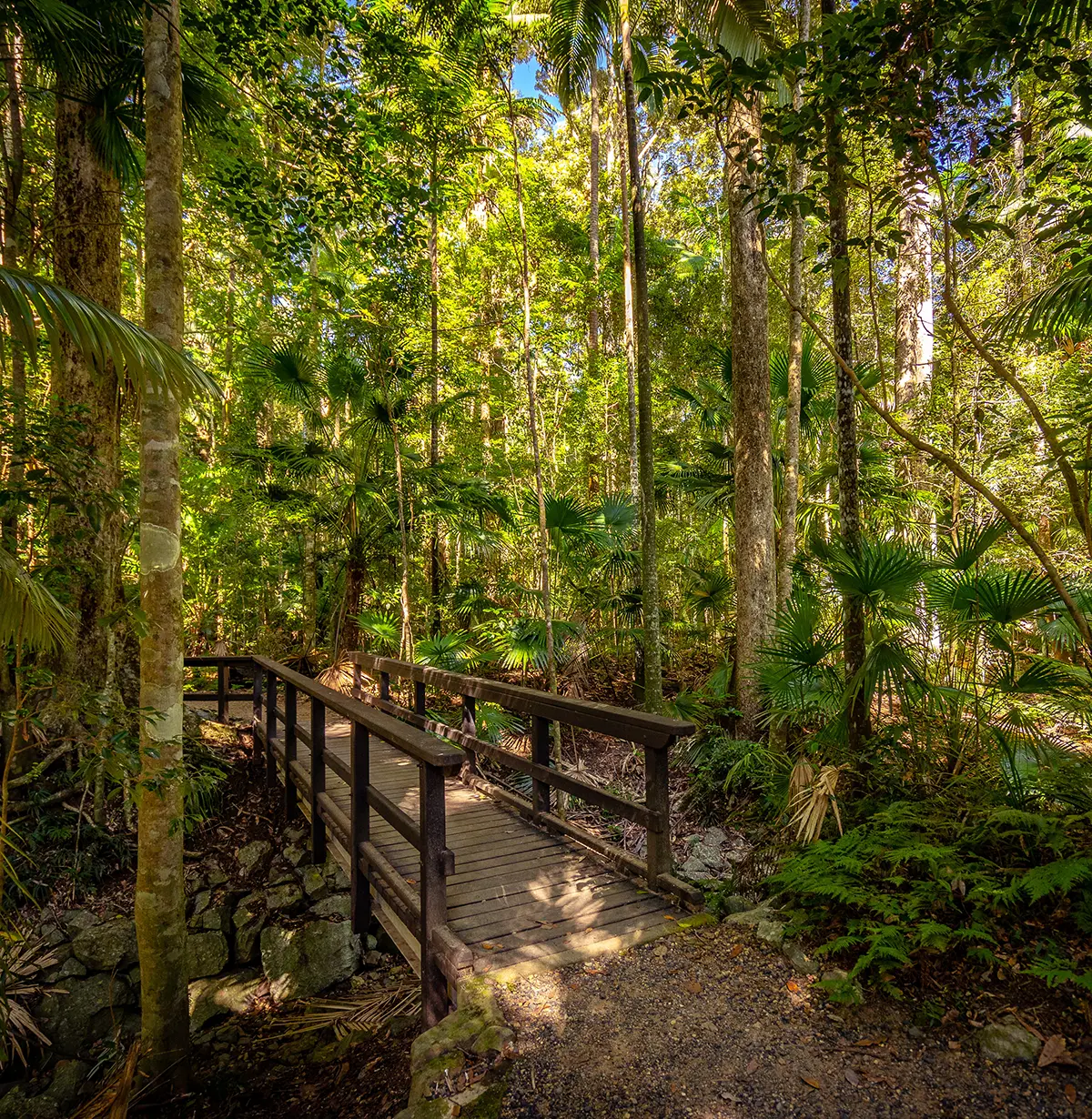 Eungella National Park - Mackay Resort Motel